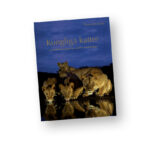 Kungliga Katter kungliga katter | Fotobok lejon, tiger, leopard, gepard