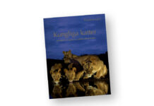 Kungliga Katter kungliga katter | Fotobok lejon, tiger, leopard, gepard