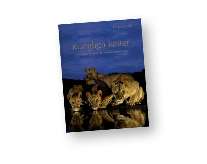 kungliga katter | Fotobok lejon, tiger, leopard, gepard