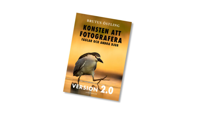 Brutus | Östling | Knsten att fotografera fåglar 2.0