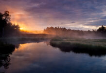 Vänga mosse Vänga mosse