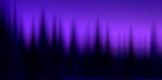 Att ständigt komma tillbaka, för att kunna gå vidare… älgar